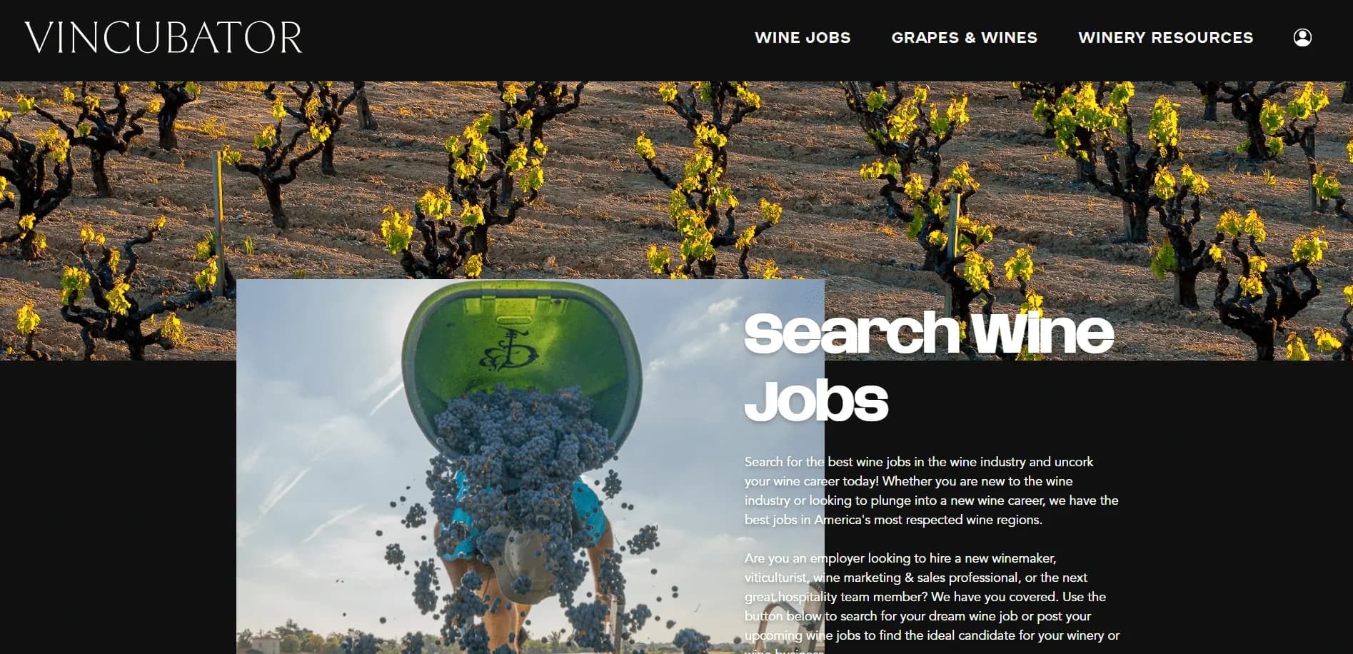 Vincubator